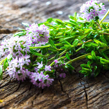 Savory Seeds – Organic Aromatic Herb for Cooking and Kitchen Gardens