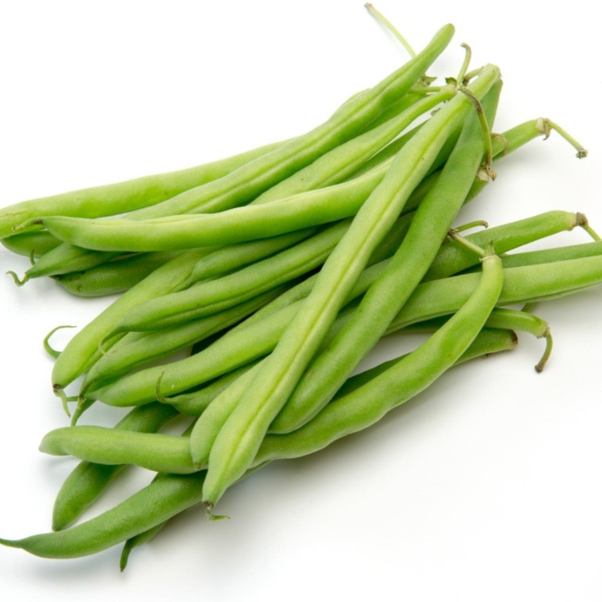 Scarlet Runner Bean Seeds – Beautiful Blooms and Edible Beans