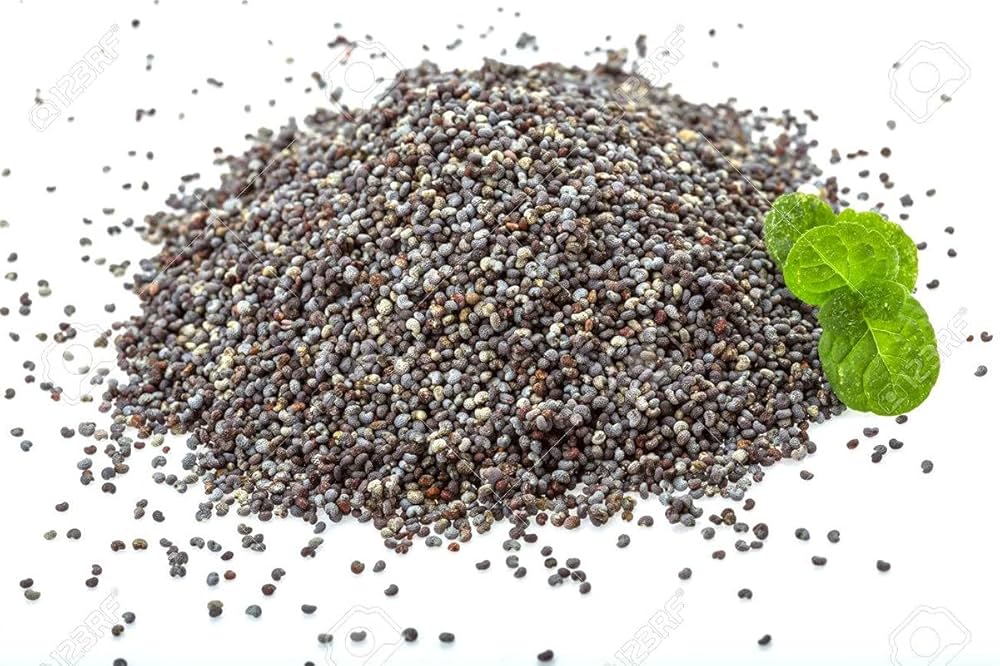 Buy Mint Seeds Online – Heirloom Medicinal Herb for Teas and Cooking