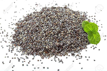 Buy Mint Seeds Online – Heirloom Medicinal Herb for Teas and Cooking