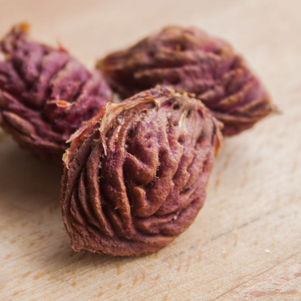 Peach Tree Seeds – Organic Variety for Home Orchard and Terrace Gardening