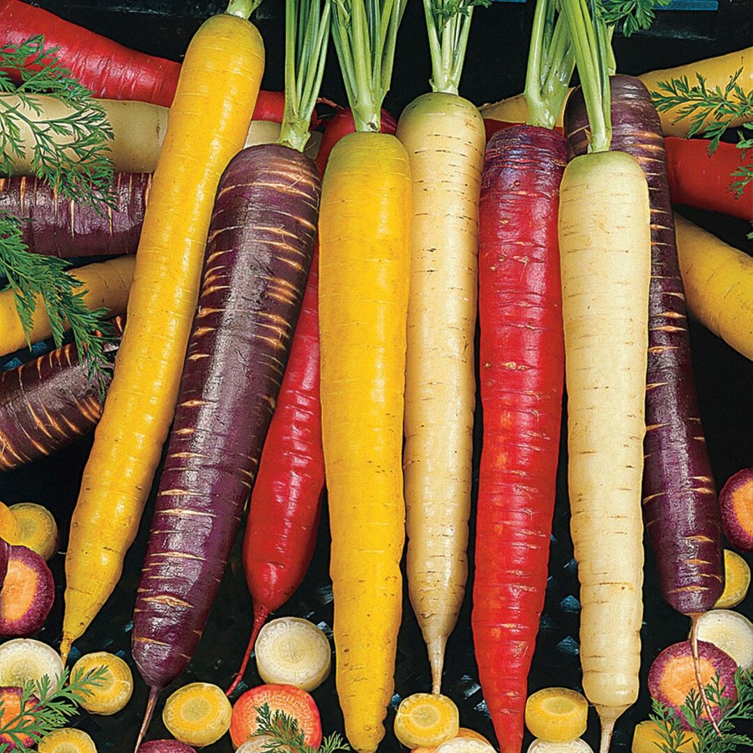 Buy Carrot Seeds Online – Non-GMO Heirloom Varieties for Home Growers