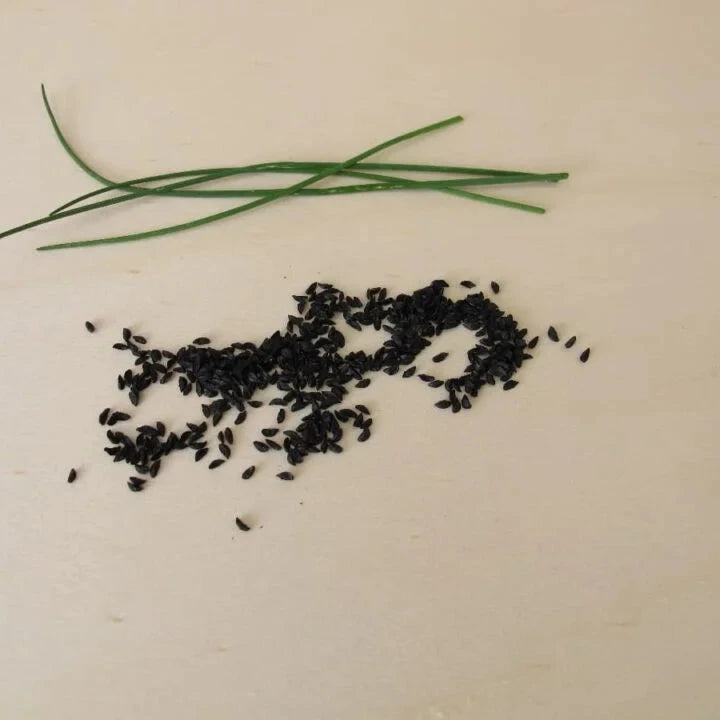 Buy Chive Seeds Online – Heirloom Variety for Fresh Cooking Herbs