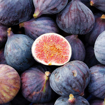 Fig Tree Seeds – Sweet Fruiting Garden Variety