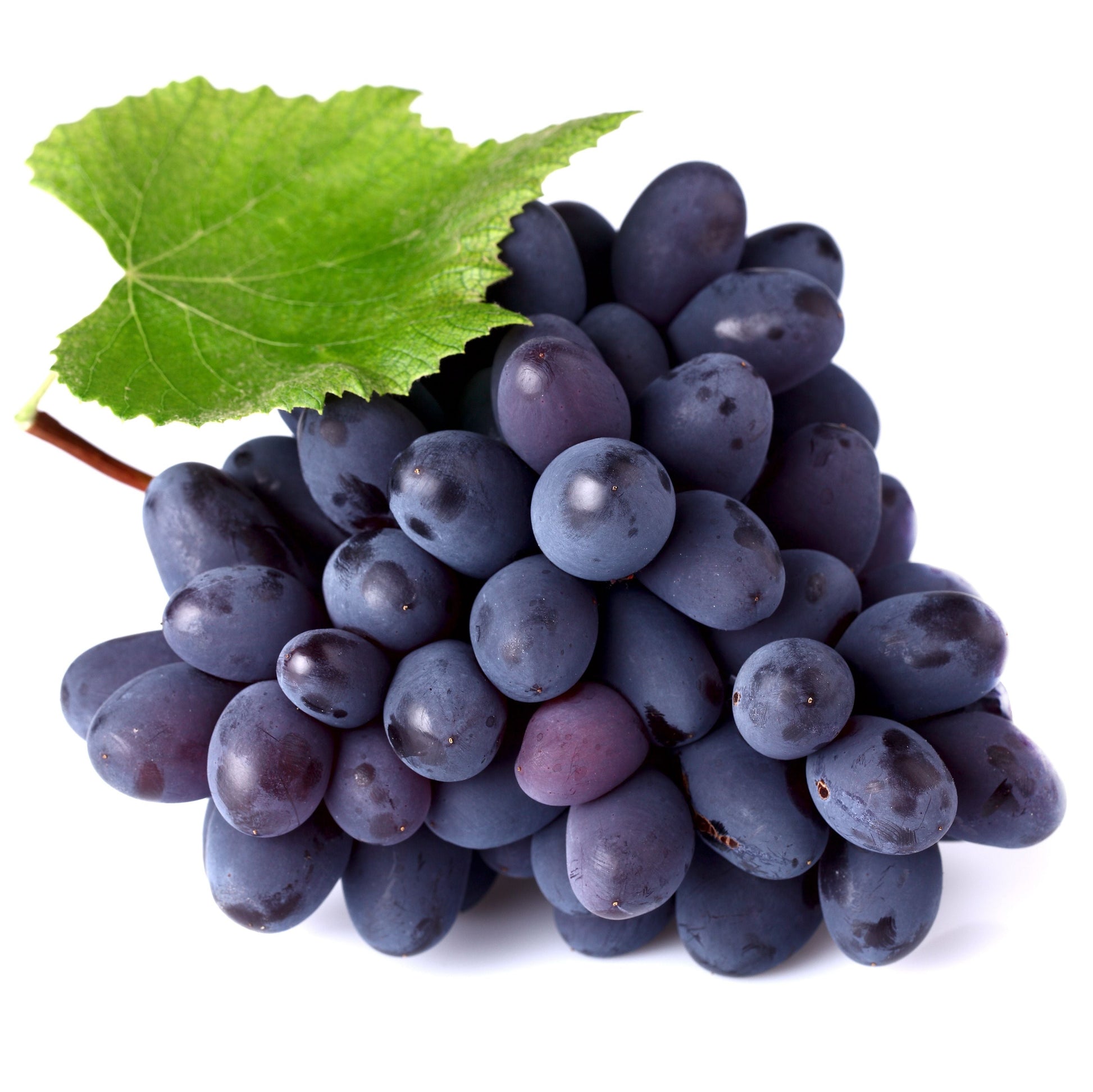 Buy Black Grape Seeds Online – Vitis vinifera Variety for Vineyards