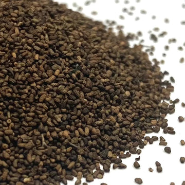 Mullein Herb Seeds – Tall Flowering Biennial Garden Variety