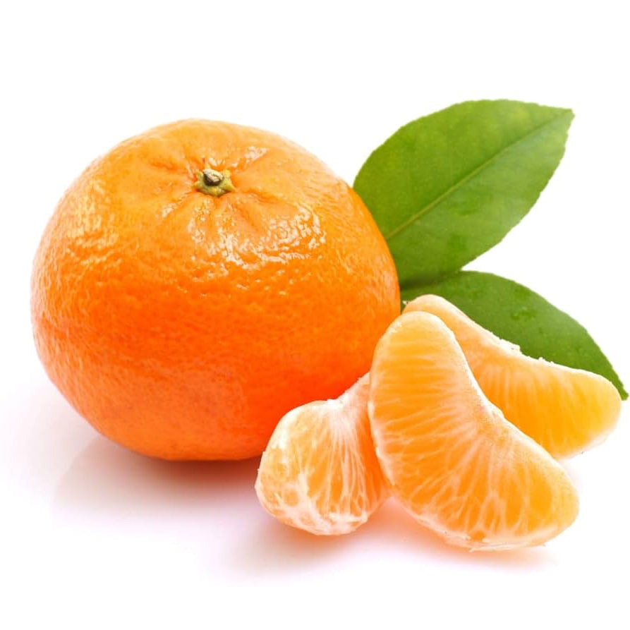 Buy Orange Seeds Online – Sweet Citrus Variety for Pots and Orchards