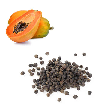 Papaya Tree Seeds – Tropical Sweet Fruiting Garden Variety
