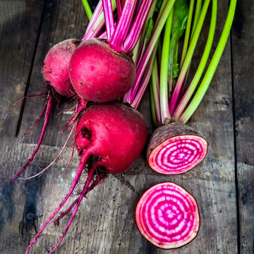 Buy Watermelon Radish Seeds Online – Non-GMO Colorful Gourmet Radish