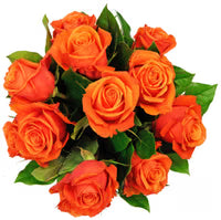 Eustoma Flower Seeds for Planting - Vibrant Orange Blooms for a Beautiful Garden