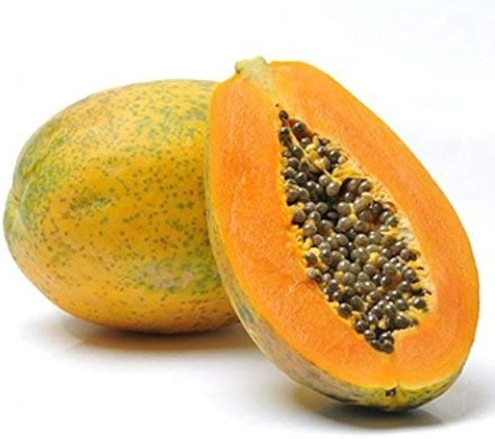 Young papaya plant growing outdoors