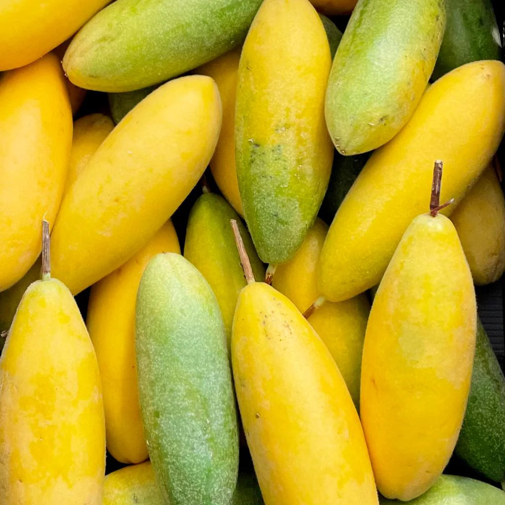 Banana Passion Fruit Seeds for Planting - Premium Garden Seeds