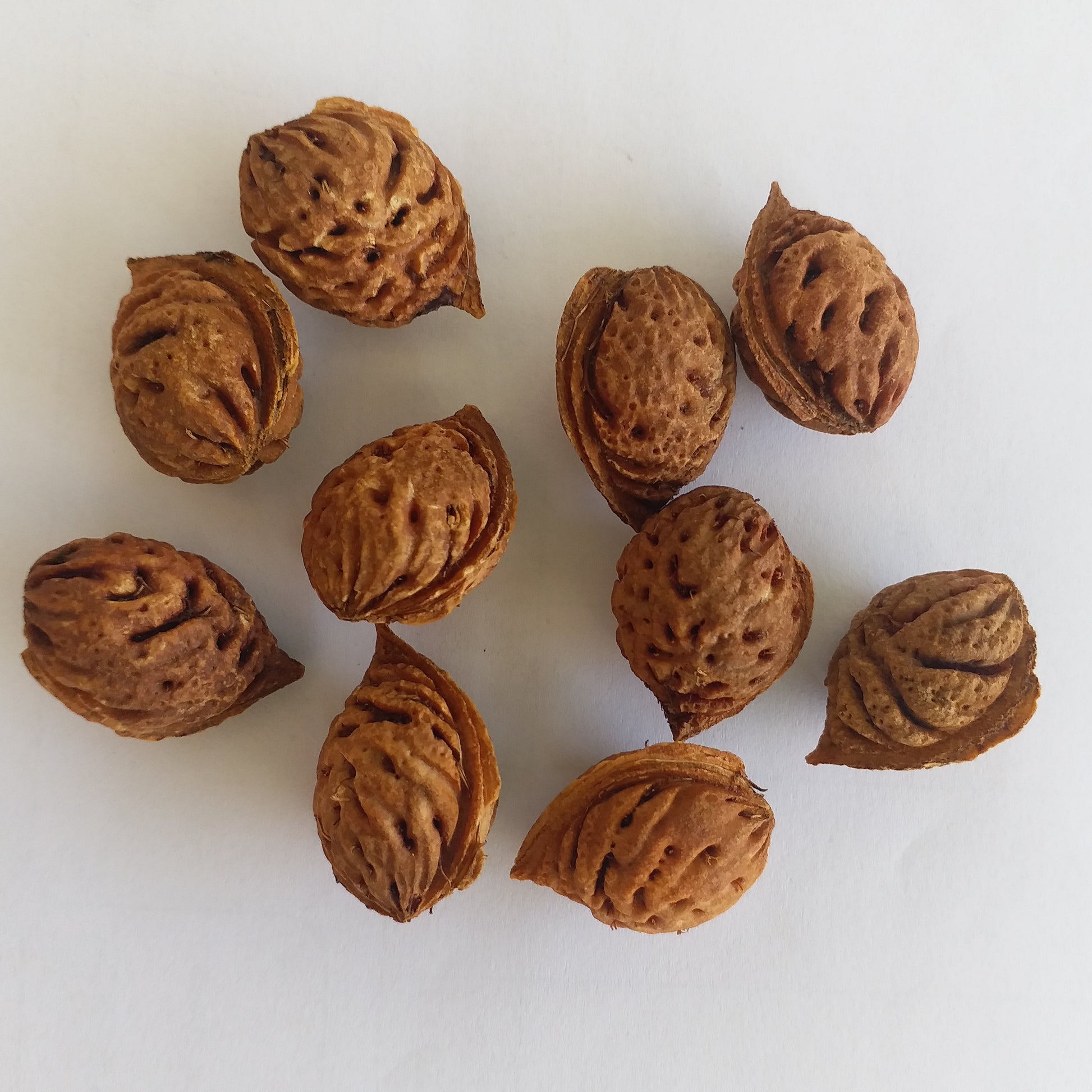 Heirloom Peach Seeds – Non-GMO Tropical Fruit Tree for Pots & Gardens