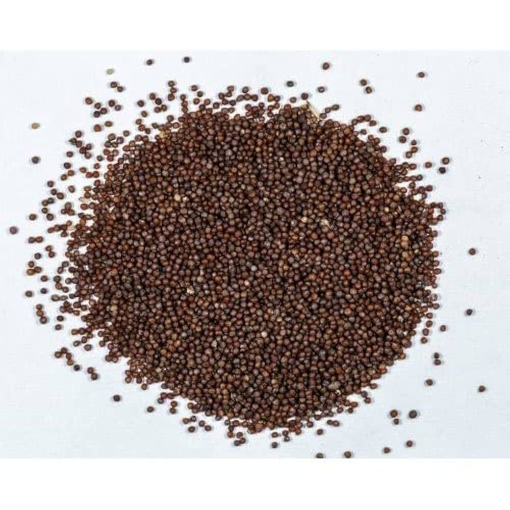 Supertunia Seeds – Organic-Inspired Hybrid Petunia for Colorful Displays