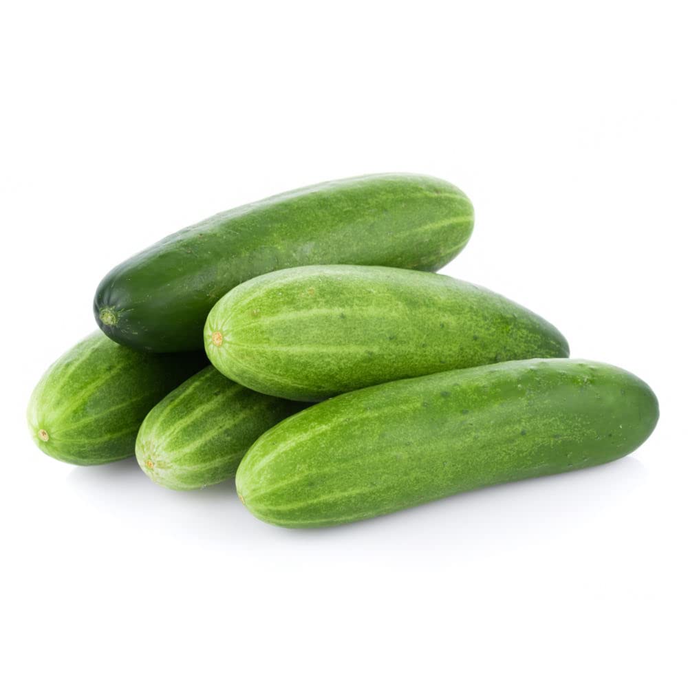 Poona Kheera Cucumber Seeds Non-GMO for unique garden cucumbers