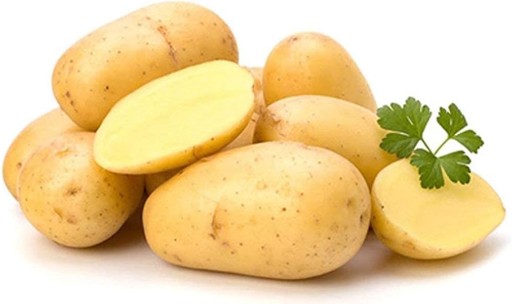 Potato seeds germination seedlings in garden