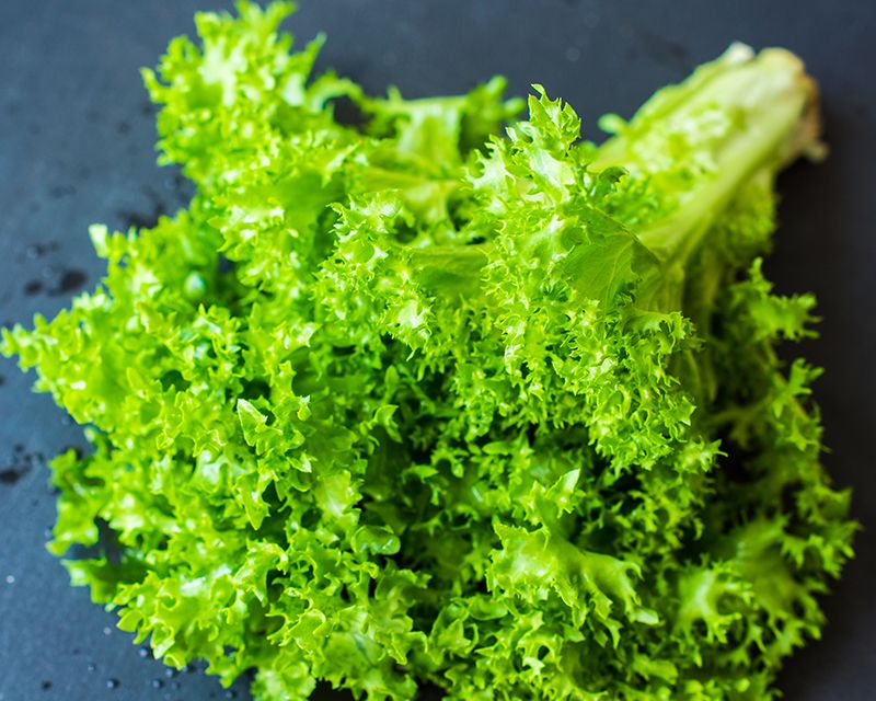 FrisÃ©e Endive Seeds: Planting Guide for Successful Growth