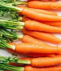 Premium Little Finger Carrot Seeds for Planting  Ideal for Small Gardens