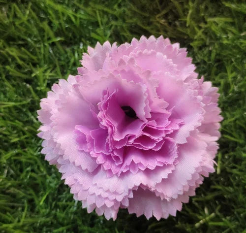 Lavender Carnation Flower seeds for Planting - Wildflower Mix, Heirloom & GMO Free Seeds for Home Garden