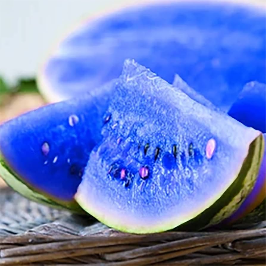 Rare purple watermelon plants grown from seeds