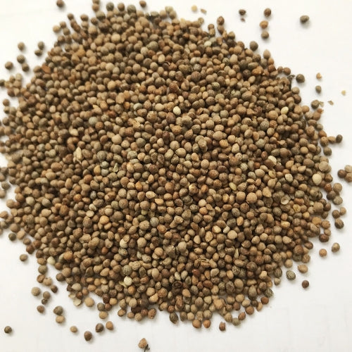 Mixed Perilla Seeds for Planting