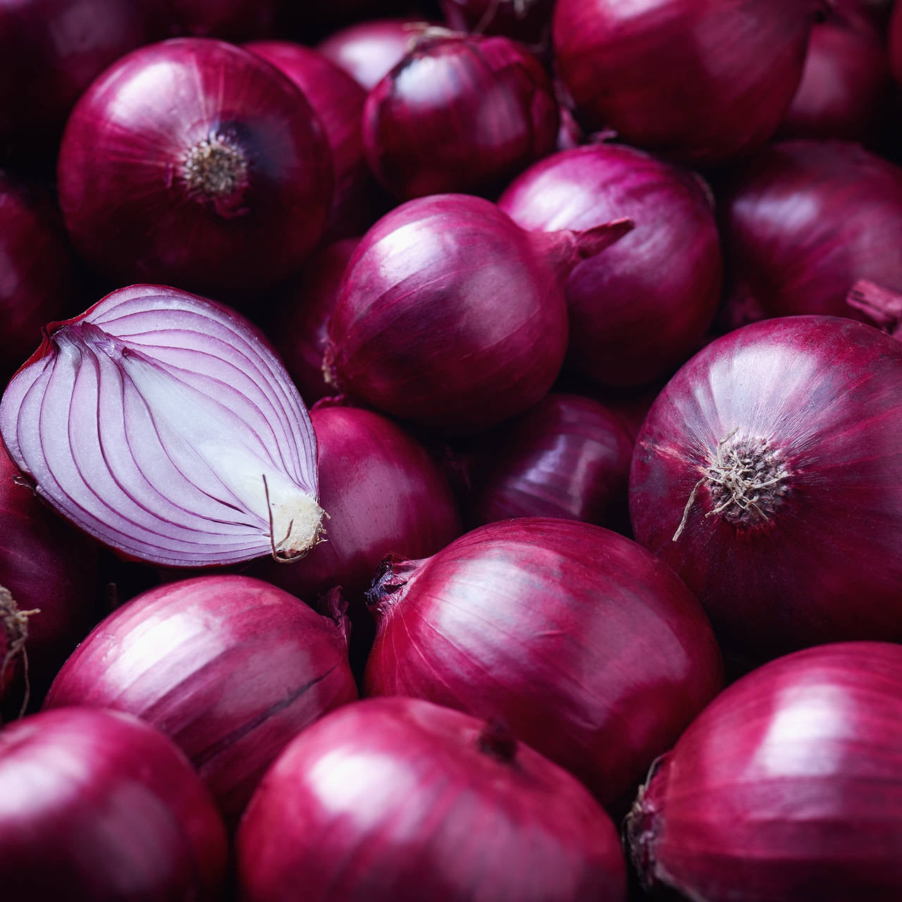 Red Onion Seeds – Organic Heirloom Variety for Home Gardening