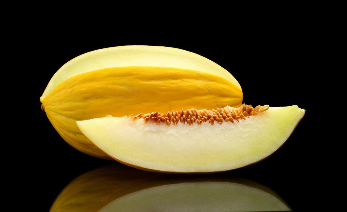Ripe yellow Casaba melons ready for harvest