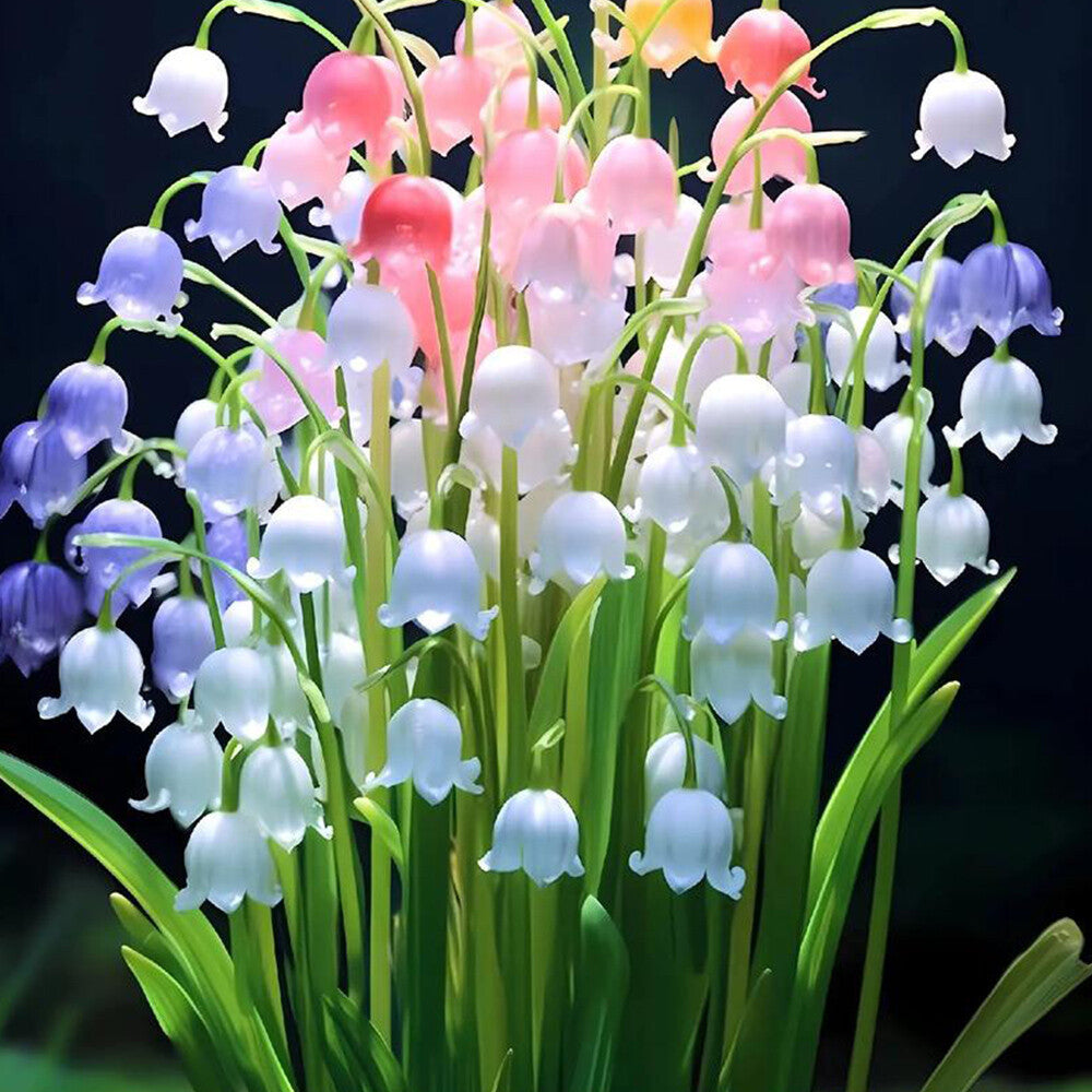 Mixed Bell Orchid Flower seeds for Planting - Low Maintenance, Heirloom & GMO Free Seeds for Home Garden