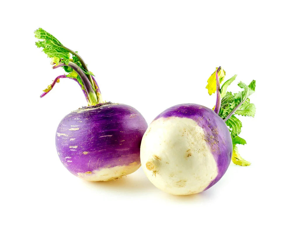 Purple White Rutabaga Seeds for Planting, Vegetable Seeds
