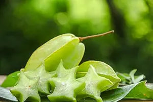 Star fruit tree growing in tropical home garden