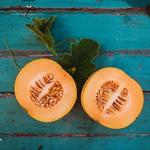 Sweet Cantaloupe seeds Cucumis melo for planting in garden