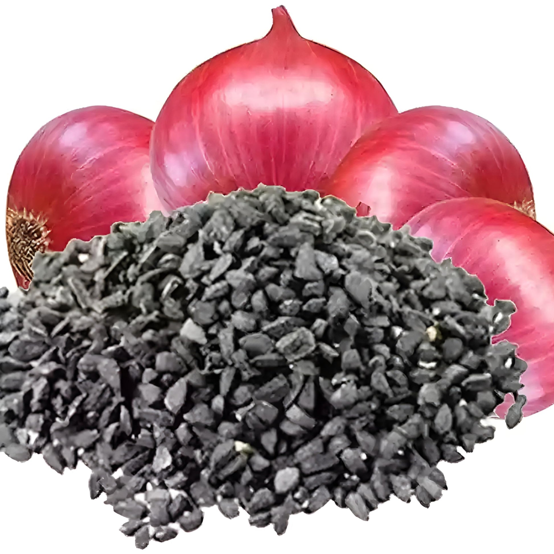 Non-GMO Red Onion Seeds – Fresh Heirloom Variety for Kitchen Gardens
