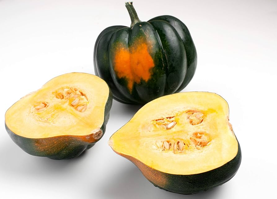 Table King Acorn Squash plants growing in garden