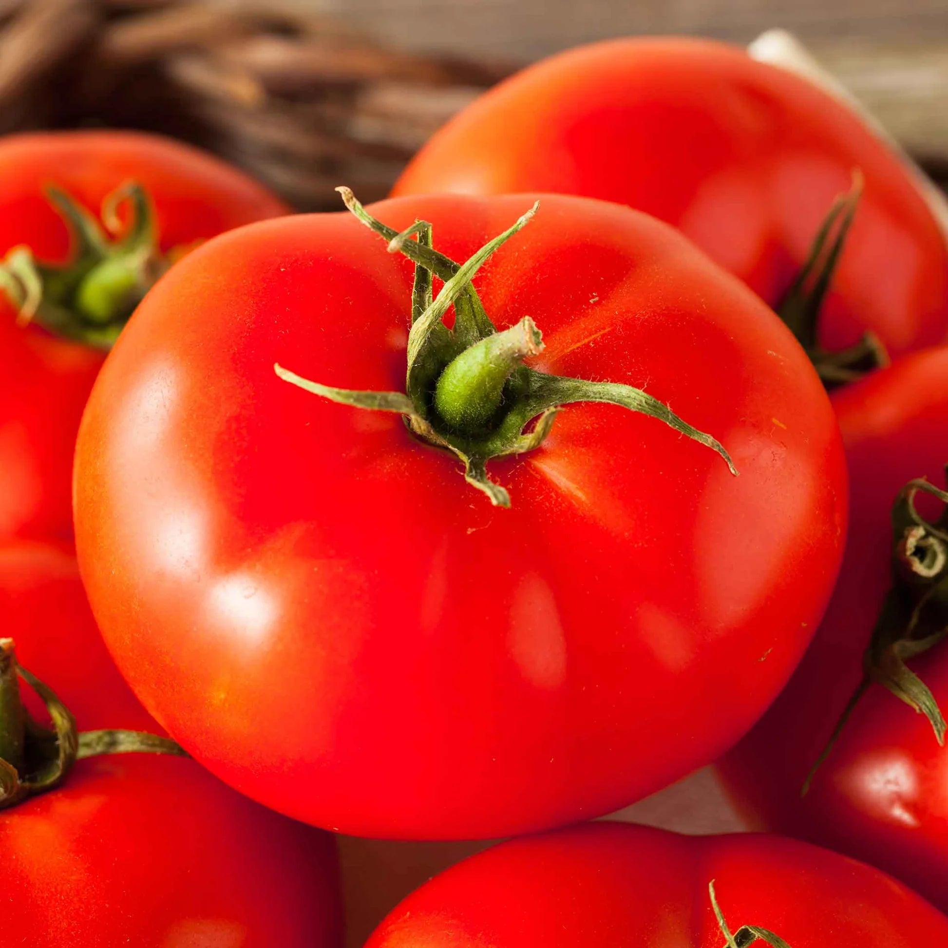Beefmaster Red Tomato Seeds for Planting - Vegetable Garden Seeds