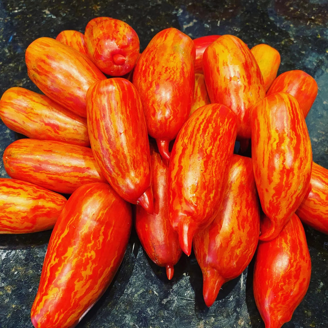 Red Speckle Tomato Seeds for Vegetable Planting
