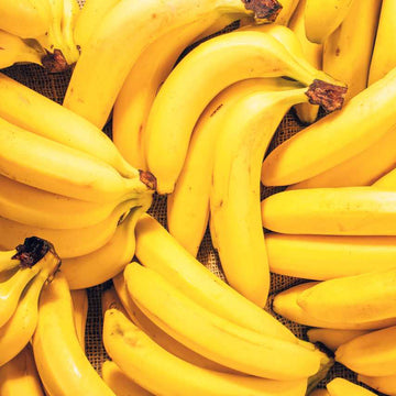 Buy Banana Seeds Online – Rare Musa Species for Indoor and Outdoor Pots