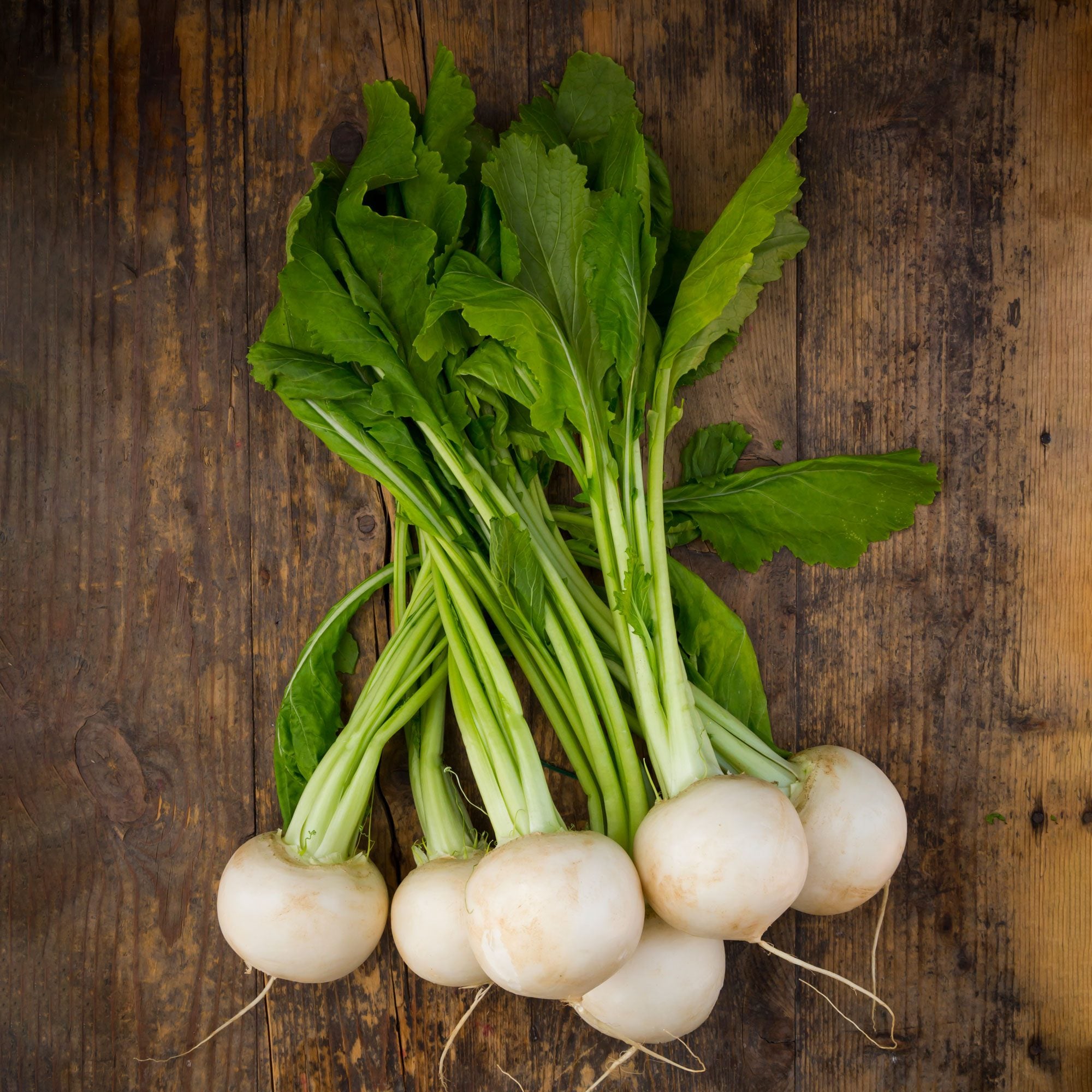 Green Turnip Seeds for Planting