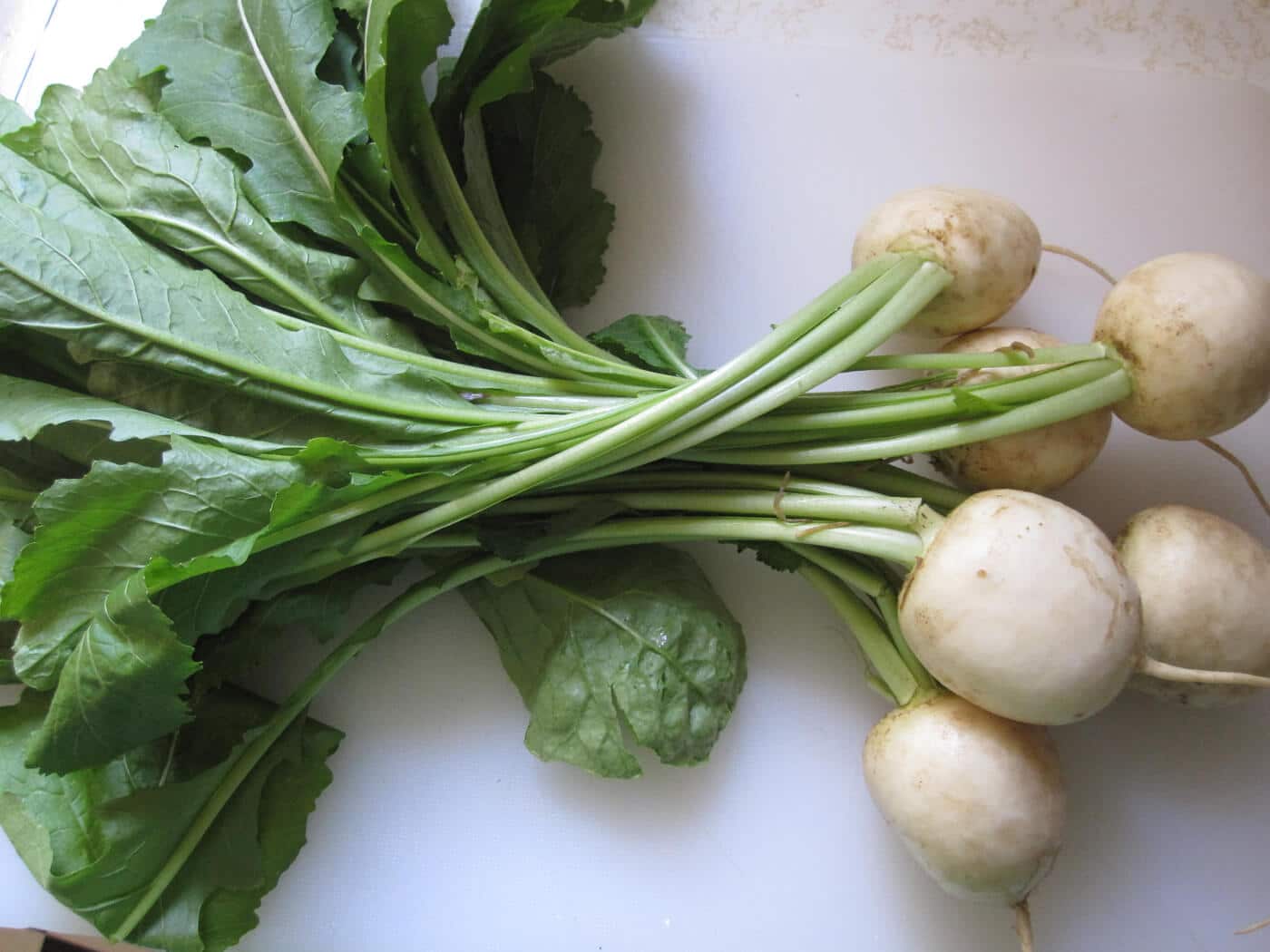 Green Turnip Seeds for Planting